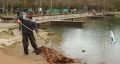 Масштабная очистка ждет пруд в одном из парков Симферополя