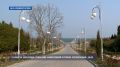 Севастополь на карантине: пляж Солнечный и парк им. Ахматовой