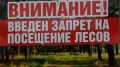 МЧС Республики Крым напоминает: введены ограничения на посещение лесов сроком на 21 день
