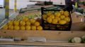 На вес золота: В Севастополе резко выросли цены на имбирь и лимоны