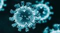 Два новых случая заражения коронавирусом зафиксированы в Крыму