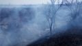 Пожароопасный сезон только стартовал, но в Крыму за сутки тушат порядка 10 возгораний сухой растительности