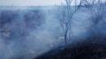 Крымские огнеборцы продолжают ежедневную борьбу с возгоранием сухой растительности