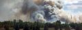 В зоне отчуждения Чернобыльской АЭС горит лес