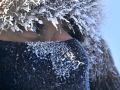 В Крым пришли заморозки