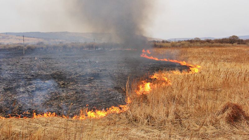 МЧС Республики Крым: Не допускайте бесконтрольного пала сухой травы!