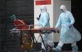 За сутки в России выявили 954 случая заражения коронавирусом