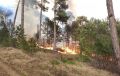 Сутки в Крыму — потушены 24 пожара. В том числе — лесной пожар