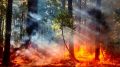 Внимание, соблюдайте правила пожарной безопасности в лесах