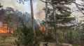 Крымские огнеборцы ликвидировали пожар в Ялтинском заповеднике