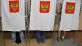 Выборы губернатора Севастополя могут отложить из-за коронавируса