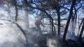Сотрудники «Россоюзспас» приняли участие в ликвидации природного пожара