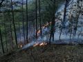 Пожар на южнобережной Боткинской тропе ликвидирован