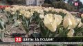В Никитском ботаническом саду сотрудники собирают тюльпаны, чтобы подарить их медикам