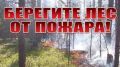За нарушение правил пожарной безопасности в лесу будет наложен административный штраф