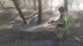 Лесной пожар на территории Симферопольского Лесоохотничьего хозяйства ликвидирован