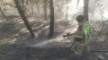 В Крыму потушен пожар в Красногорском лесничестве