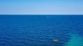 Суд в Крыму постановил отправить в обсерватор экипаж пришедшей из Греции яхты «Варвара»