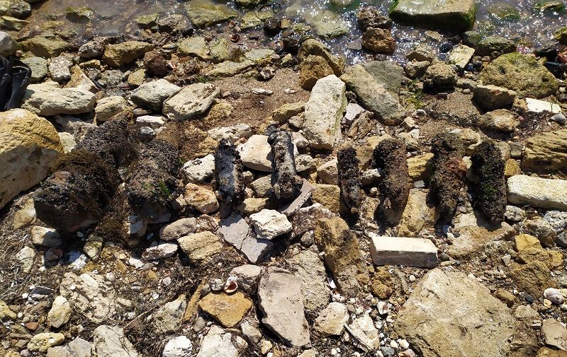 Эхо войны: и снова взрывоопасные находки  у берегов Керчи