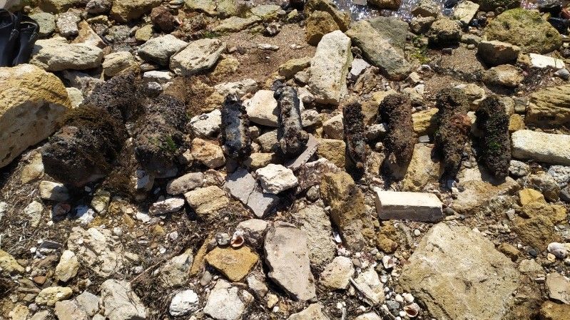 В Керчи у берега моря обнаружены авиационные бомбы