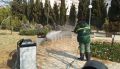 В Правительстве Севастополя уверяют: санитарная чистка объектов благоустройства проводится в спецрежиме