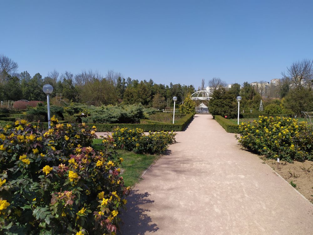 В главном вузе Крыма борются за сохранение коллекции ботанического сада