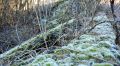 Очередные заморозки ожидаются в Крыму в степных и предгорных районах
