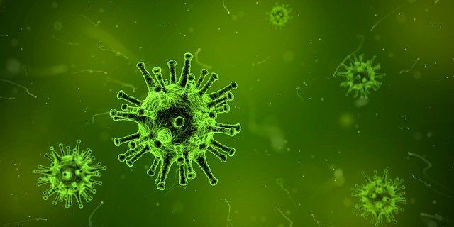 Не дошли до пика: количество заражений коронавирусом в мире растёт