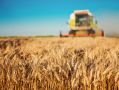 Севастопольские сельхозтоваропроизводители получат субсидии на развитие производства