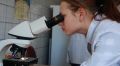 Крымская лаборатория в РДКБ с сегодняшнего дня будет тестировать севастопольских медиков
