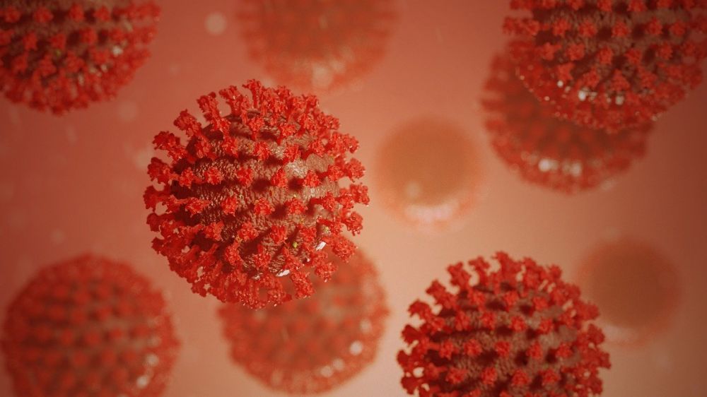В Севастополе подтверждены ещё 4 случая коронавируса