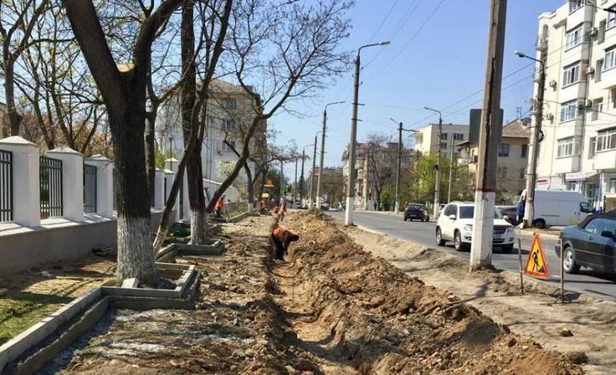 Пришлось вырубить порядка 200 деревьев на улице Льва Толстого, – дептранс Севастополя