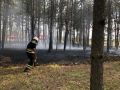 В Крыму в этом году произошло 34 природных пожара