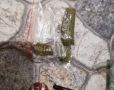 В Феодосии задержали участников группы, сбывавшей наркотики путем «закладок»