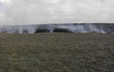 В Крыму выгорело пять гектаров сухостоя