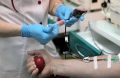 Внимание! «Центр крови» в Симферополе ищет доноров