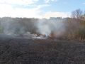 В Крыму установили виновников крупного ландшафтного пожара