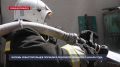 Восемь севастопольцев погибли на пожарах с начала года