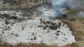 Алуштинские лесники предотвратили лесной пожар