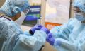 Коронавирусная инфекция в Севастополе: диагноз подтверждён у 24 человек