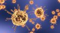 В Крыму обнаружили коронавирус ещё у 10 человек