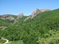 Продлен запрет на посещение лесов Крыма