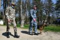 Полиция Крыма ищет 37 человек, указавших недостоверные сведения в анкетах для приезжих