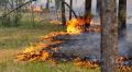 Спасатели за время майских праздников ликвидировали в Крыму три лесных пожара