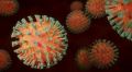 Коронавирус теряет инфекционную активность при температуре выше 30 градусов
