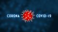 Количество заразившихся коронавирусом на полуострове достигло 311 человек