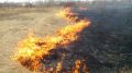 В Крыму с начала года ликвидировали более 600 возгораний сухой растительности
