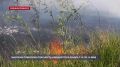 Высокая пожарная опасность ожидается в Крыму с 16 по 19 мая