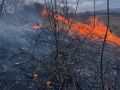 Итоги минувших суток в Севастополе — зарегистрированы 10 возгораний