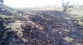 Случаи возгорания сухостоя участились в Крыму
